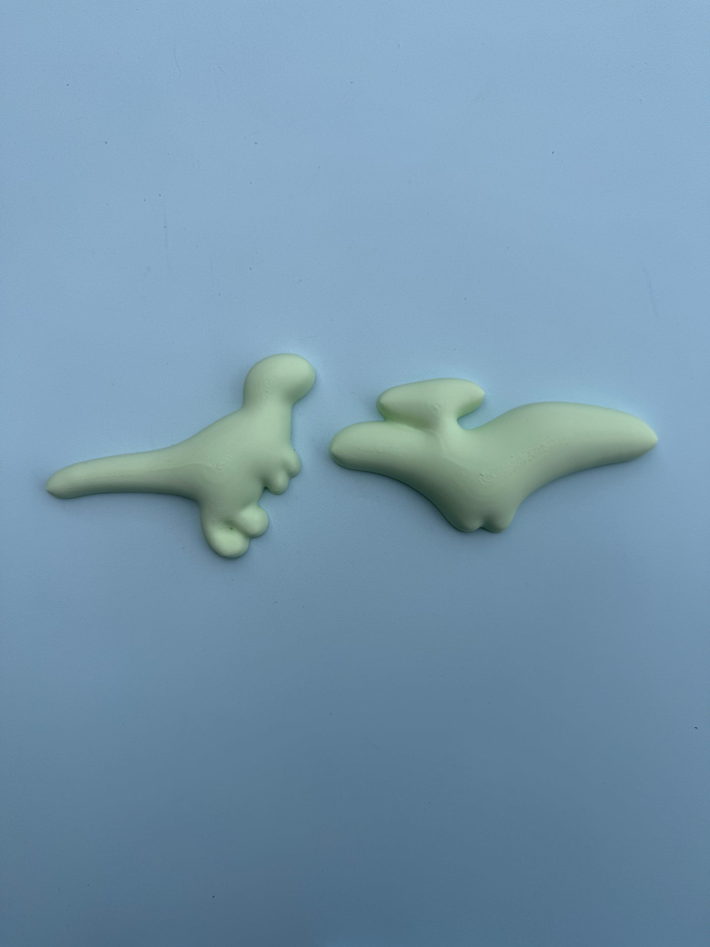 Dino Wall Decor