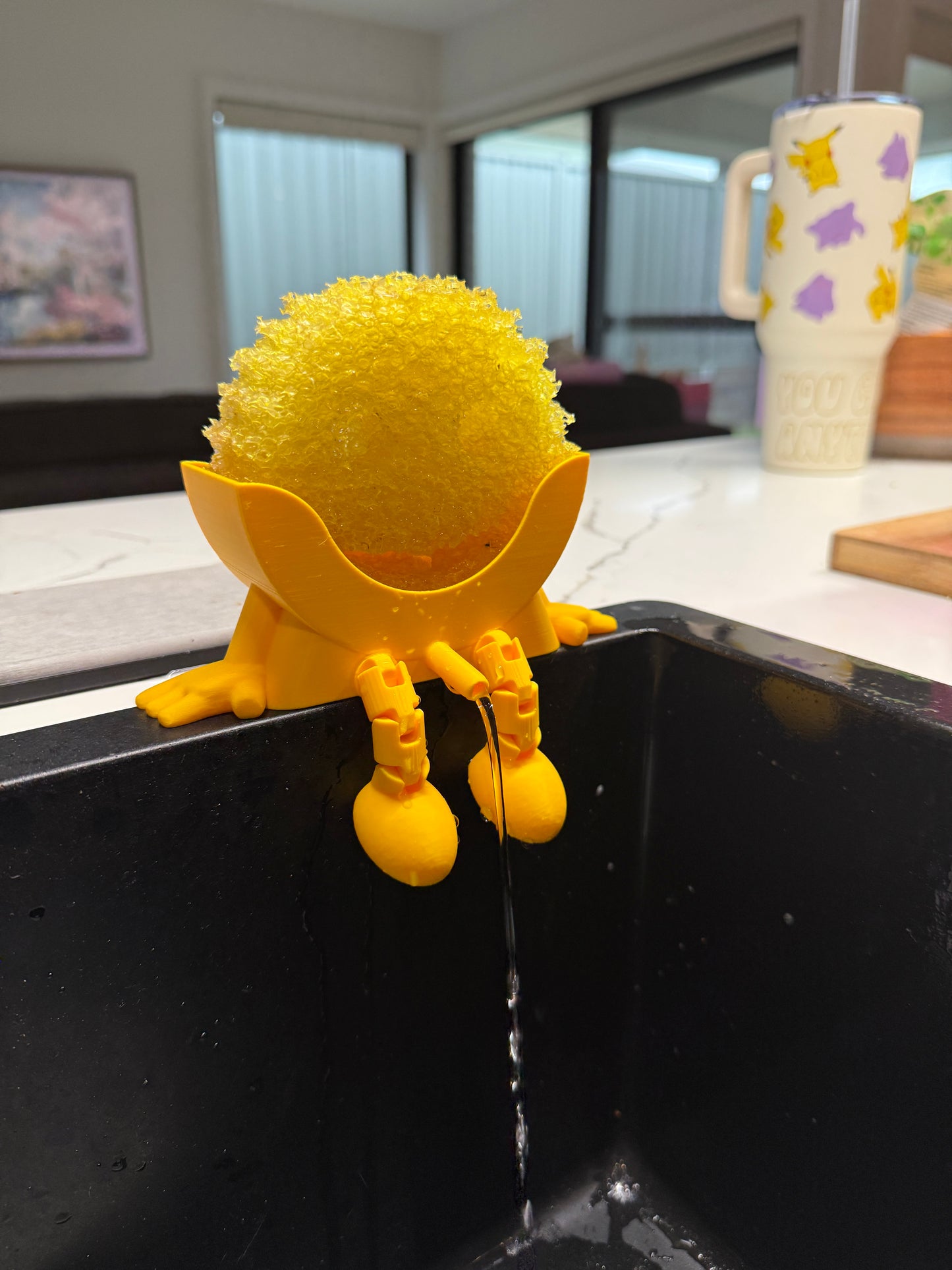 Scrub Holder