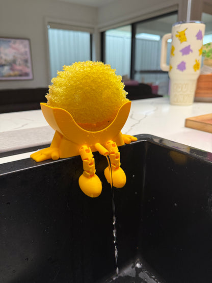 Scrub Holder