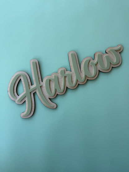Double Layer Acrylic Name Plaque